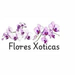 flores xoticas