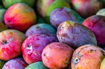 Mangoes