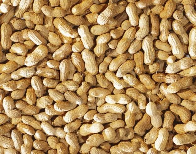 Ground nuts