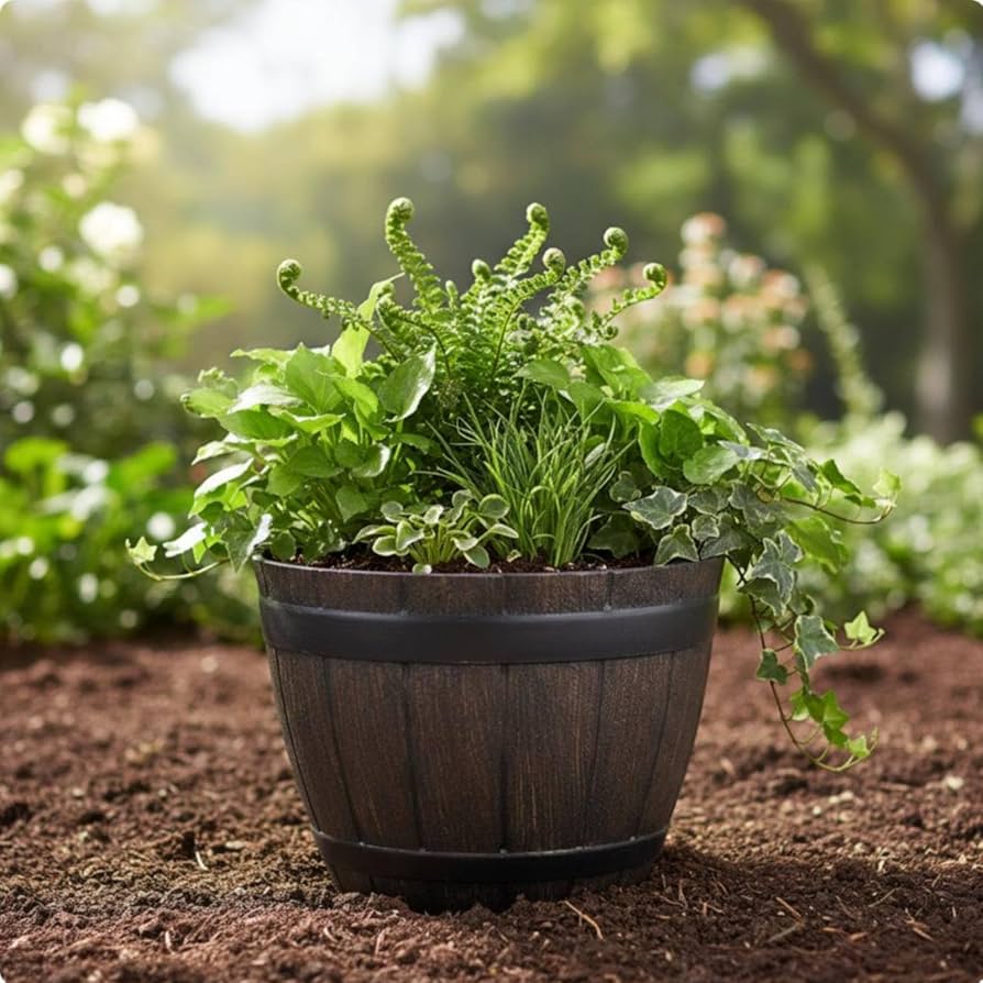 Pot flower
